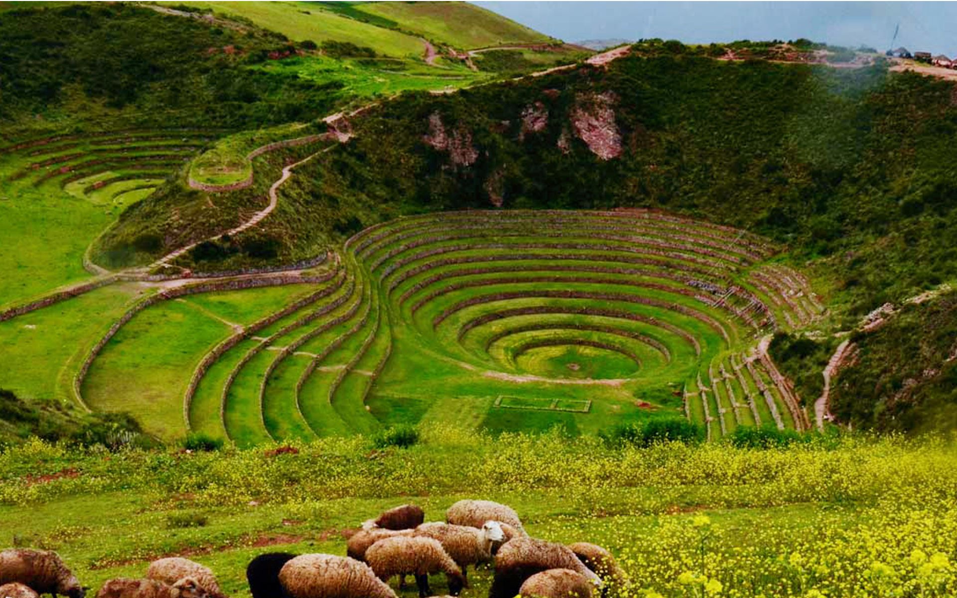 Сельскохозяйственная площадка инков в священной долине Урубамба. Загадка инков - террасы Морай/террасы Мора.